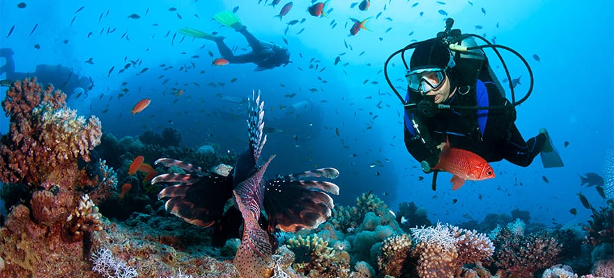 7-Day Caribbean Round-trip Miami: Bahamas & Dominican Republic